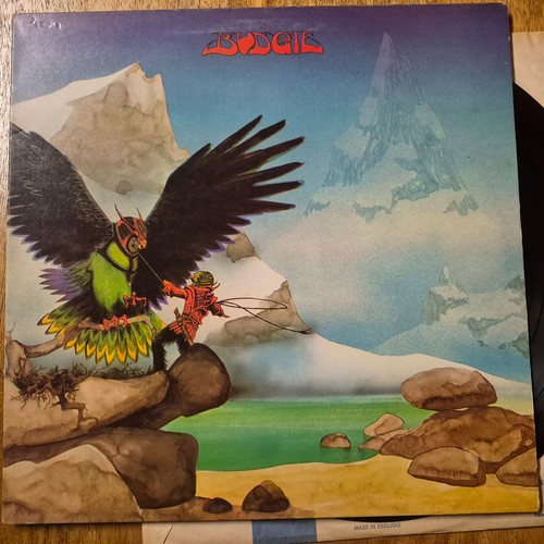 Budgie never turn your - budgie,